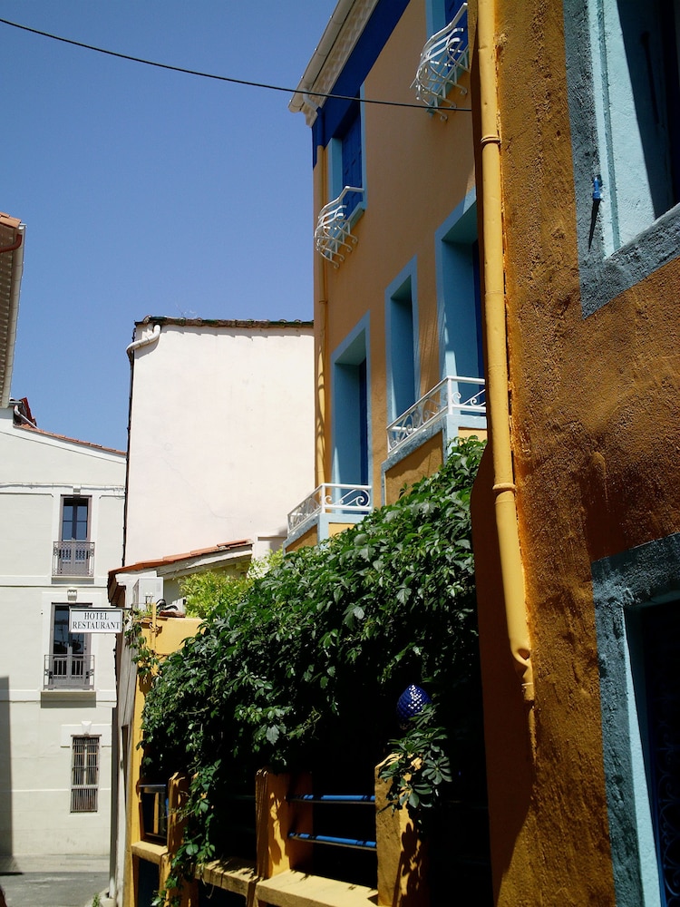 Cortie in Thuir, France