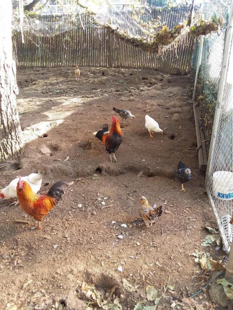Scott Creek Farm - photo 17