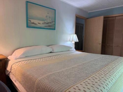 Brandy Bay Hideaway: Pet Friendly Retreat - photo 15
