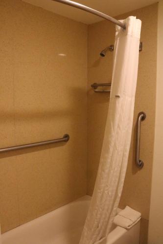 Timberline Motel - photo 3