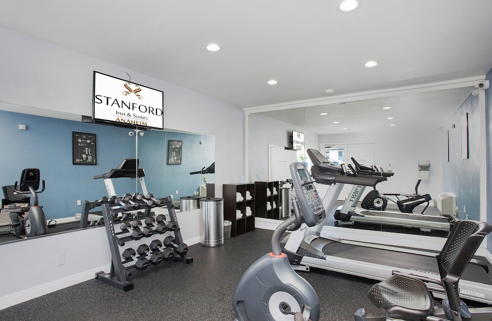 Stanford Inn & Suites Anaheim - photo 29