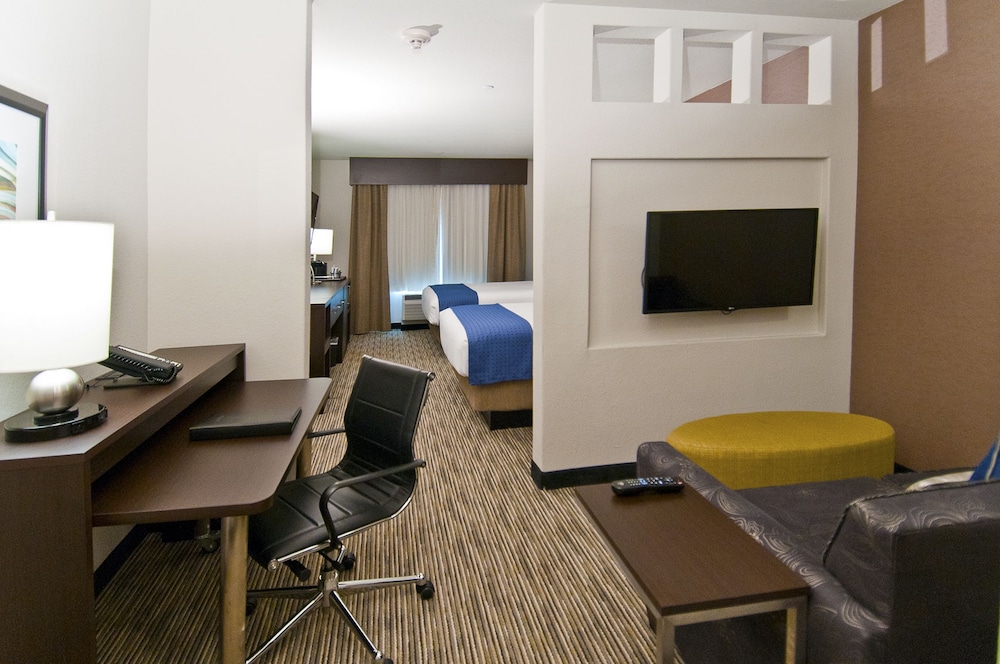 Holiday Inn Austin Airport by IHG - photo 3