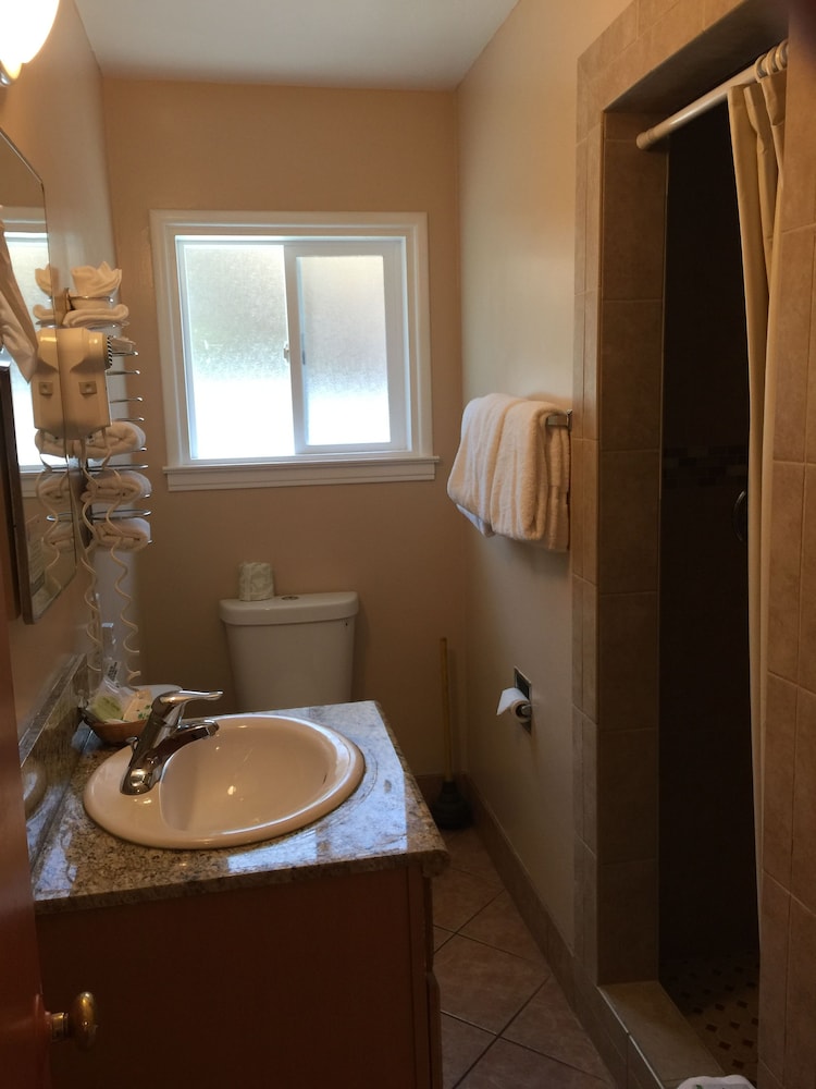 Holland Inn & Suites - photo 30