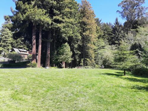 Trillium Bungalow in Arcata — Arcata — photo 2