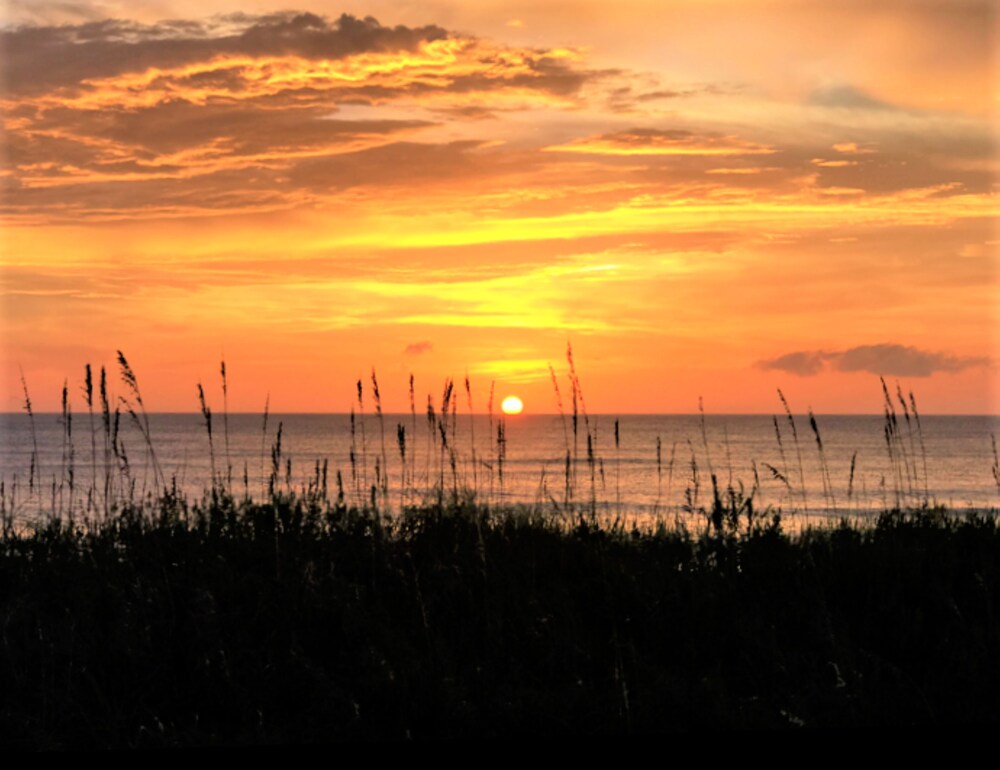 The Windjammer Resort - photo 36