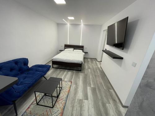 Smart Studio — Petrila — photo 3