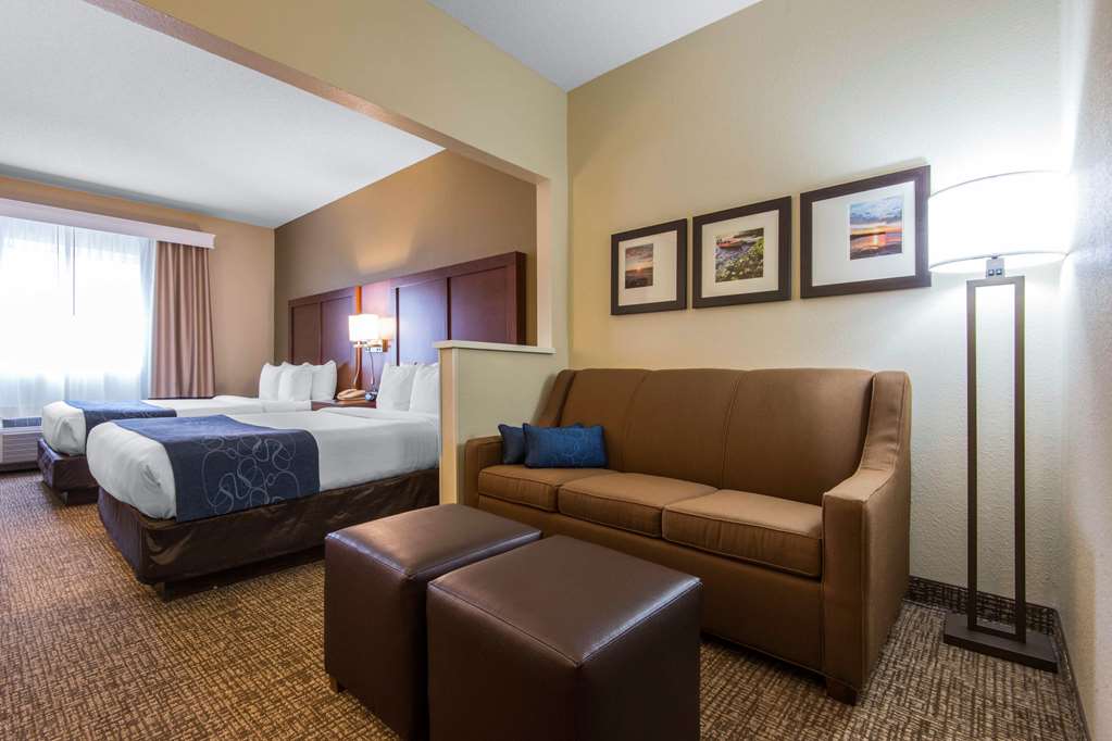 Comfort Suites Rochester Henrietta University Area - photo 11