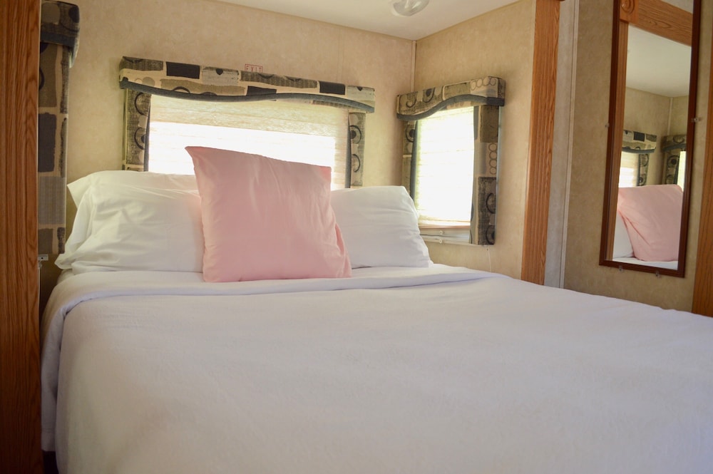 Drop Anchor - photo 38