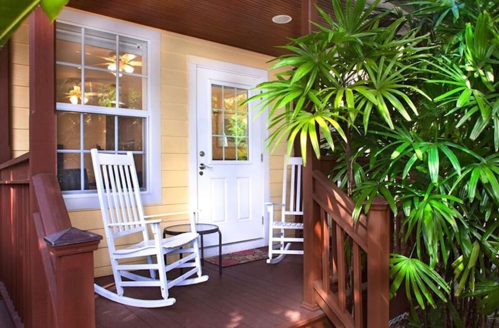 Travelers Palm - photo 11