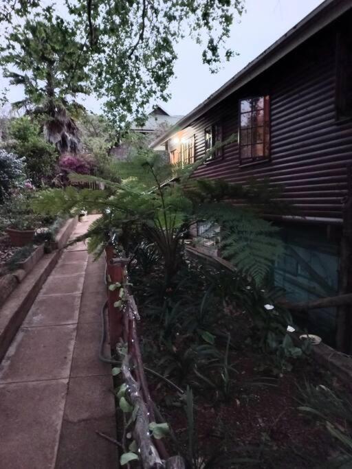 The Big tree @ Sabie - last minute hotel in Unknown City