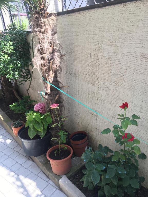 10 b shindisi street Tbilisi