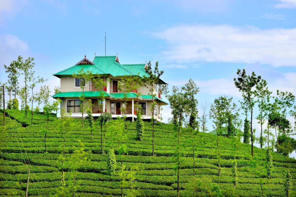 Green Hill Estate in Idukki, India