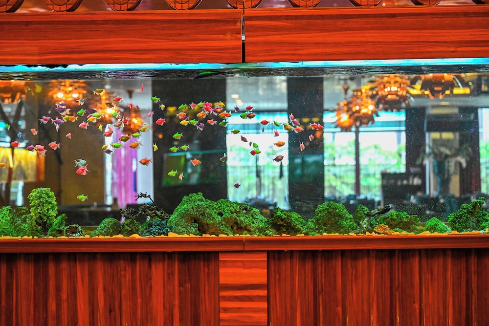 Hotel Gold Majesty — Bursa — photo 3