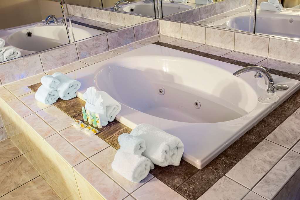 Quality Inn O'Hare Airport - photo 19