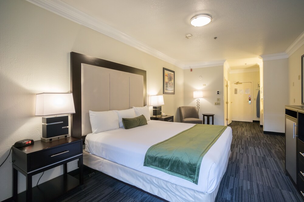 Arena Hotel - photo 10
