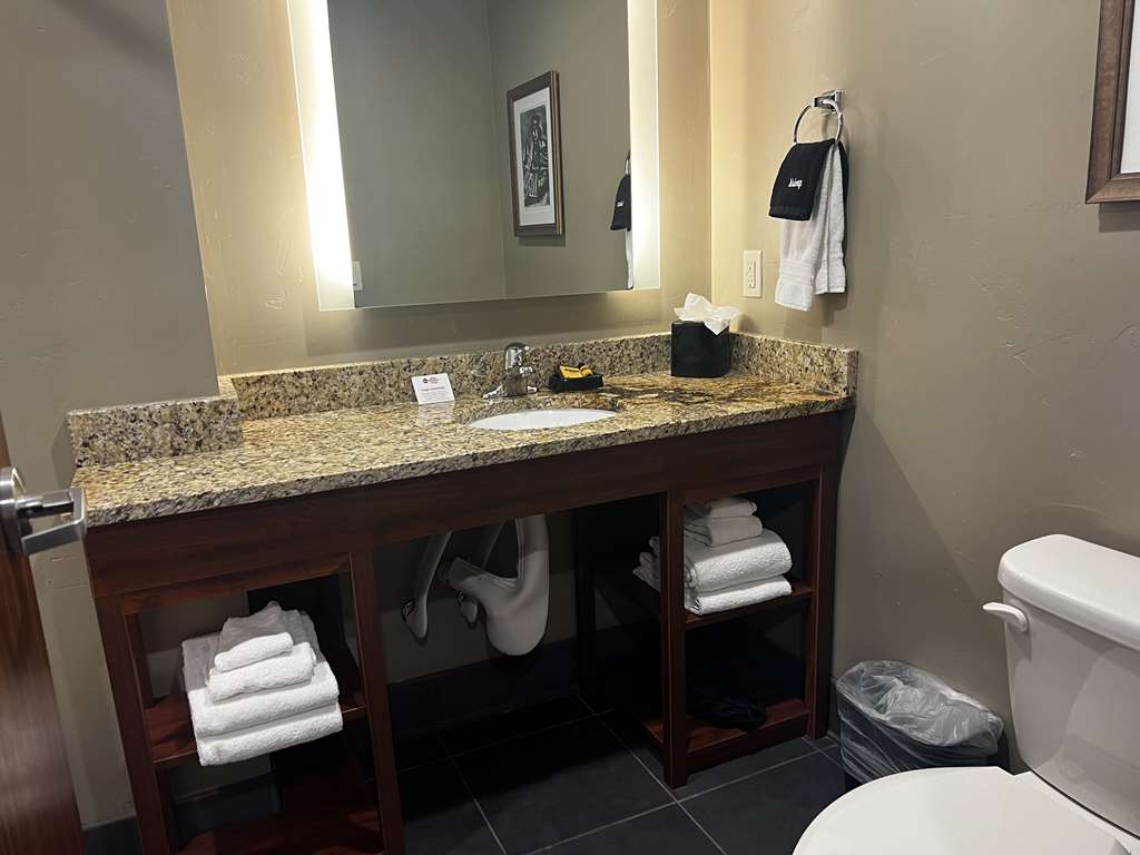 Best Western Plus Landmark Hotel - photo 23