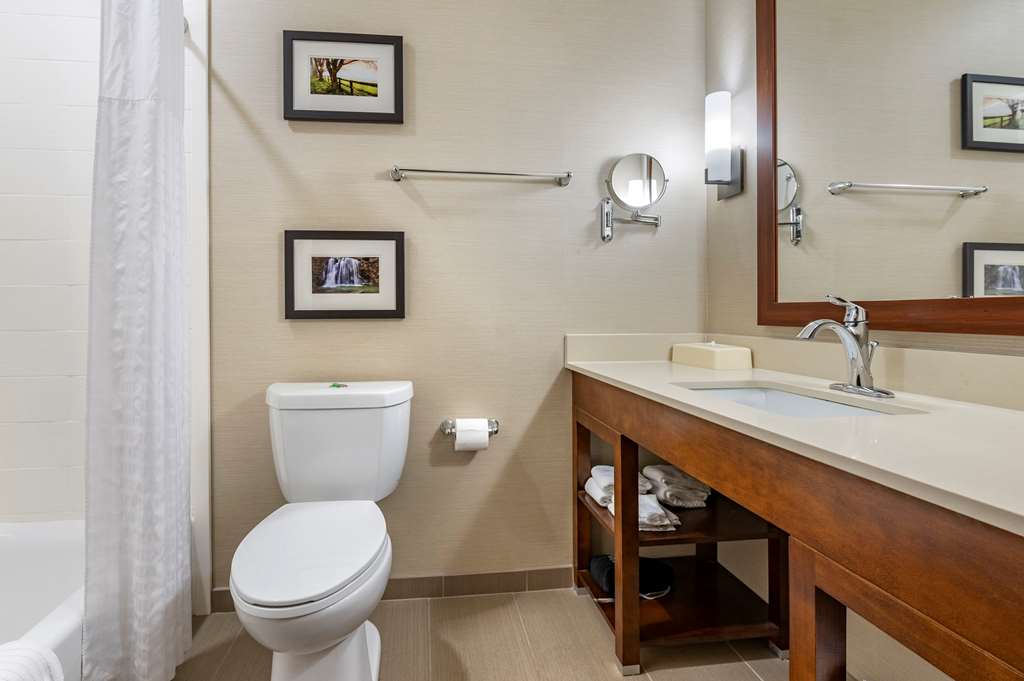 Comfort Suites Columbus Airport - photo 23