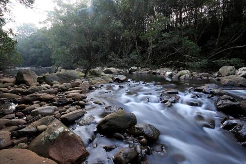 Rainforest River Retreat Kangaroo Valley — Robertson — photo 4