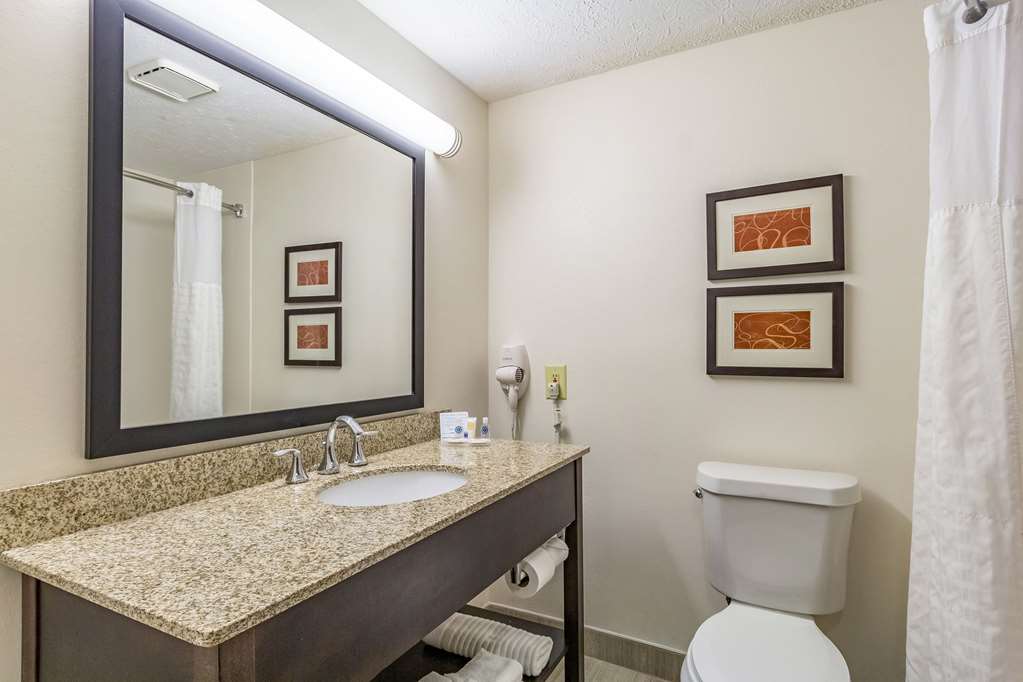Comfort Inn Independence Cleveland - photo 9