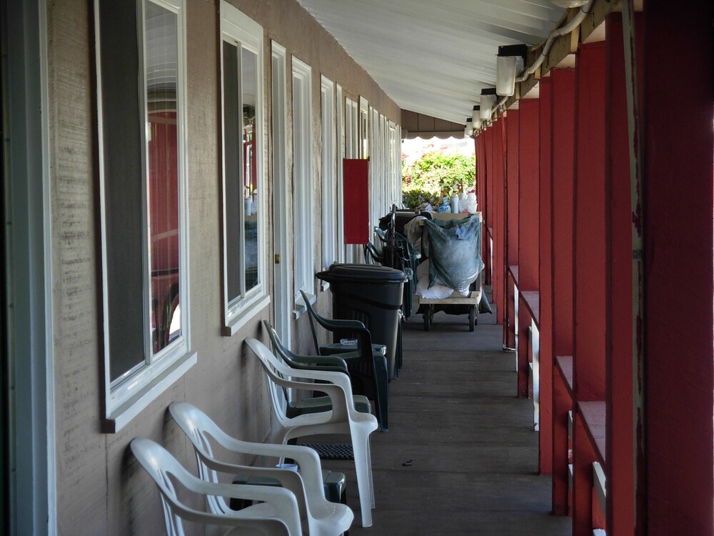 Jumping Frog Motel - photo 53