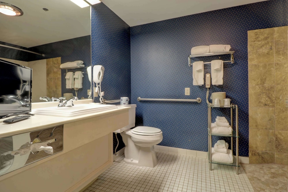 Senator Inn & Spa - photo 71
