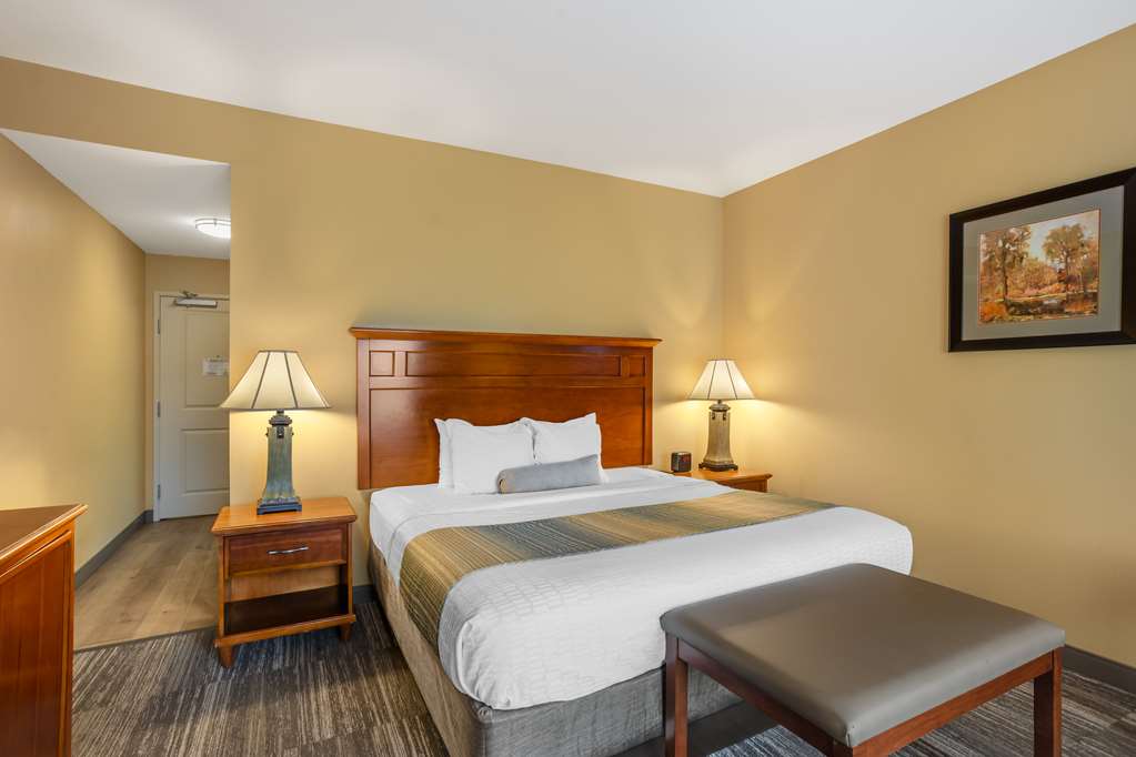 Best Western Plus University Park Inn & Suites - photo 22