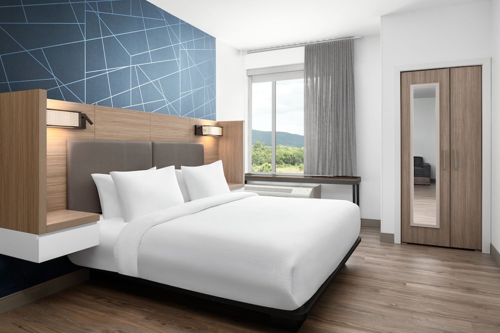SpringHill Suites by Marriott Roanoke North - photo 14