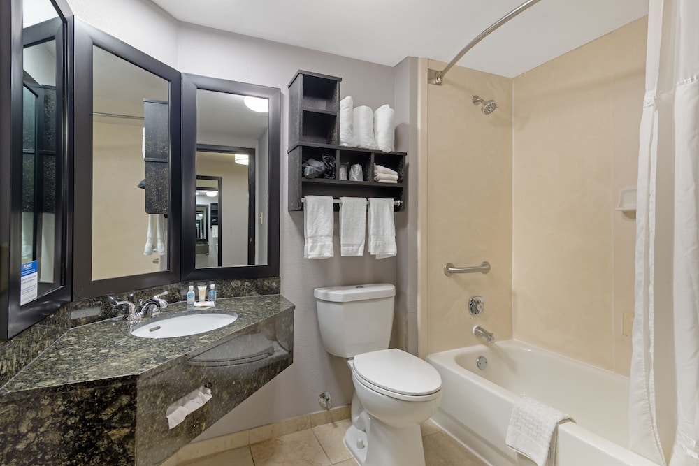 Comfort Inn & Suites Carrollton - photo 23