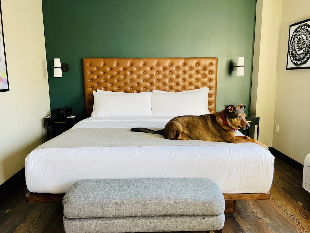 The Lloyd Stamford Tapestry Collection by Hilton - photo 4