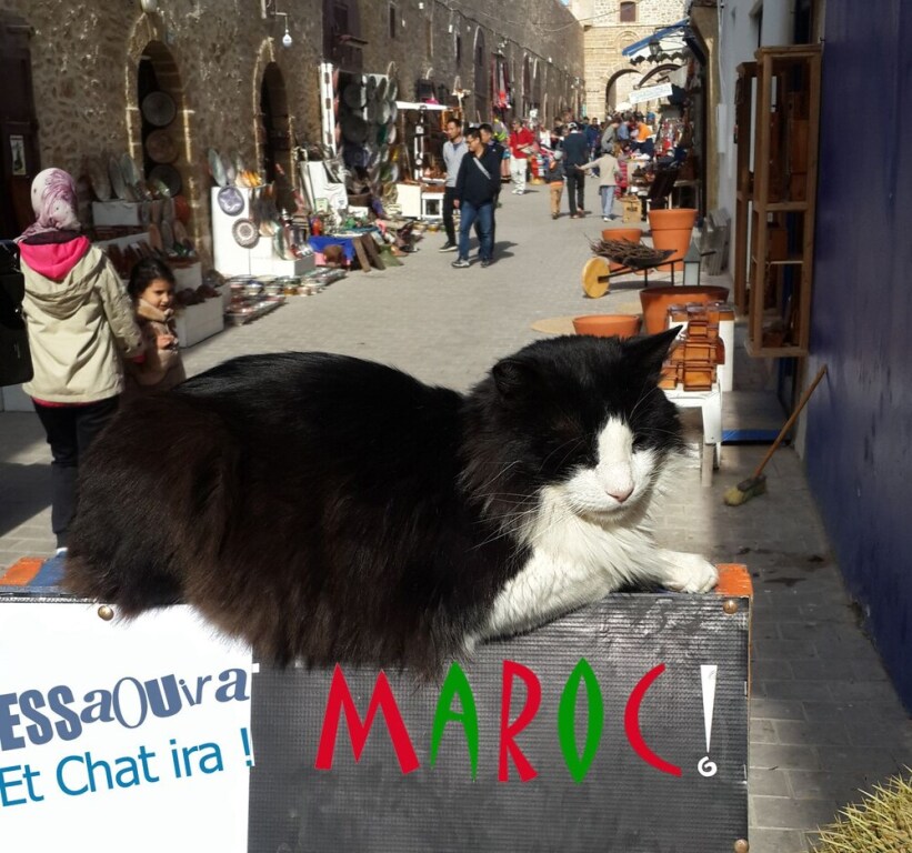 Parfums d’ toiles in Essaouira, Morocco