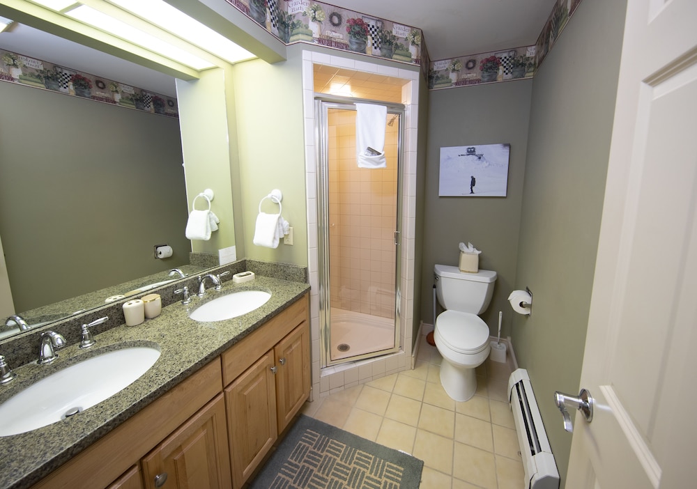 Solitude Village at Okemo by Vail Resorts - photo 10