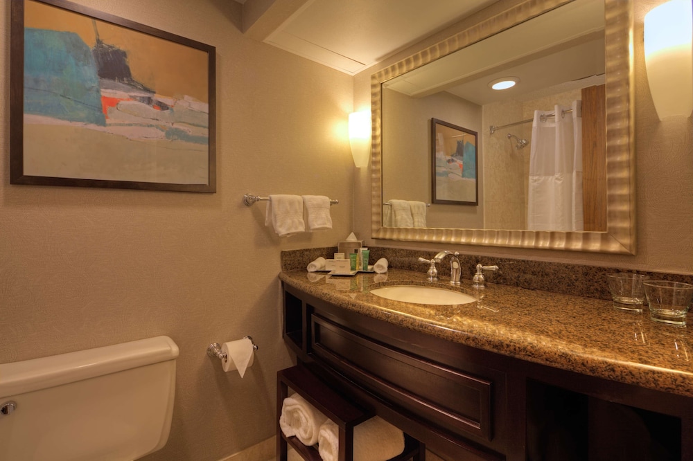 Hilton Houston Westchase - photo 38