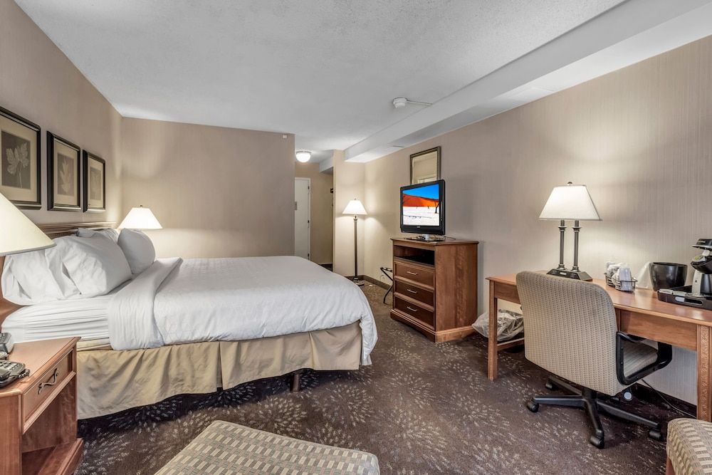 Buffalo Airport Hotel - photo 12