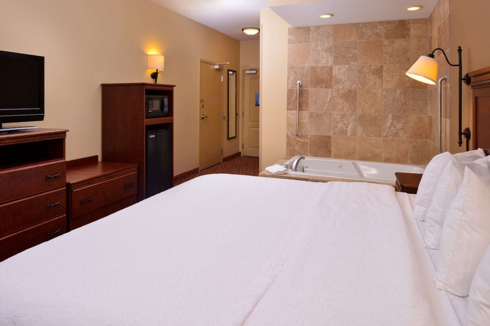 Hampton Inn by Hilton Lincoln - photo 13