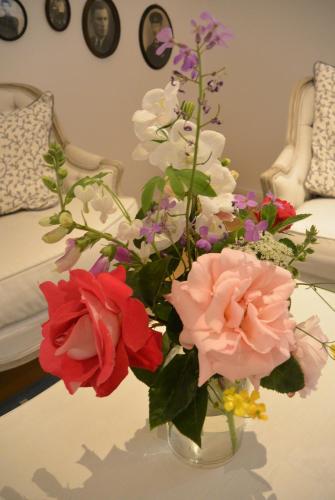 Apartment am Park — Bremerhaven — photo 3