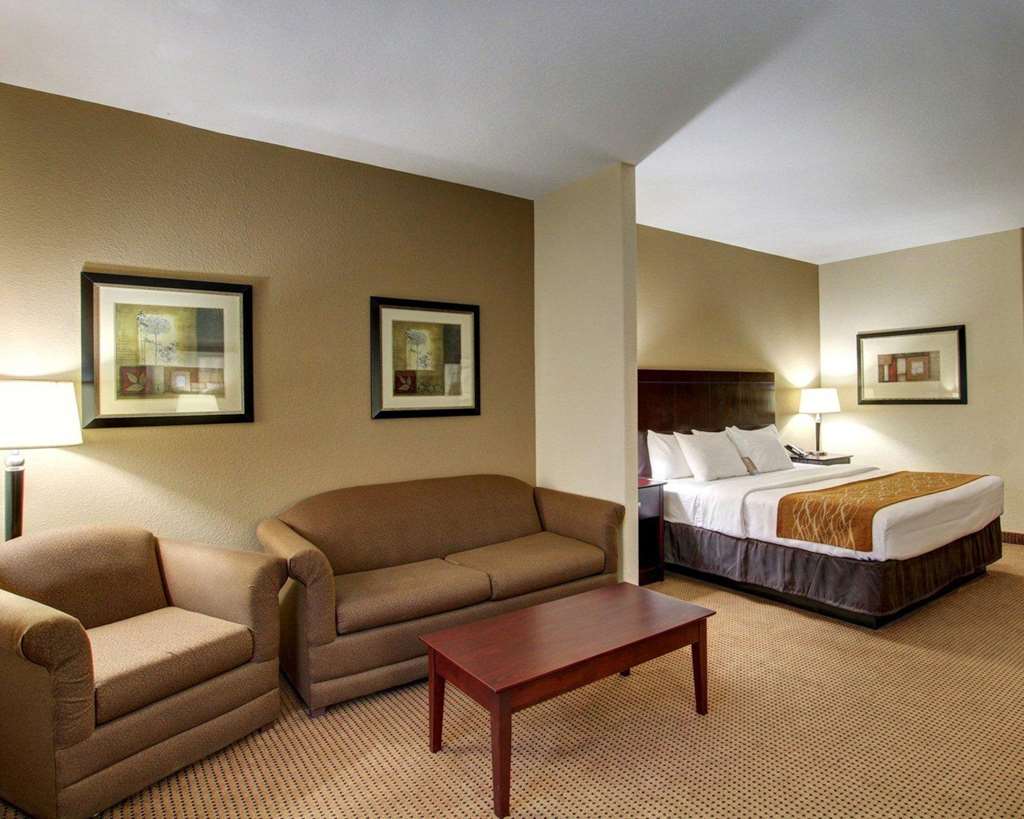 Comfort Inn & Suites Alvarado - photo 15