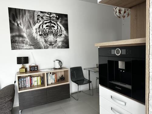 Apartmán Lodenica — Piestany — photo 5