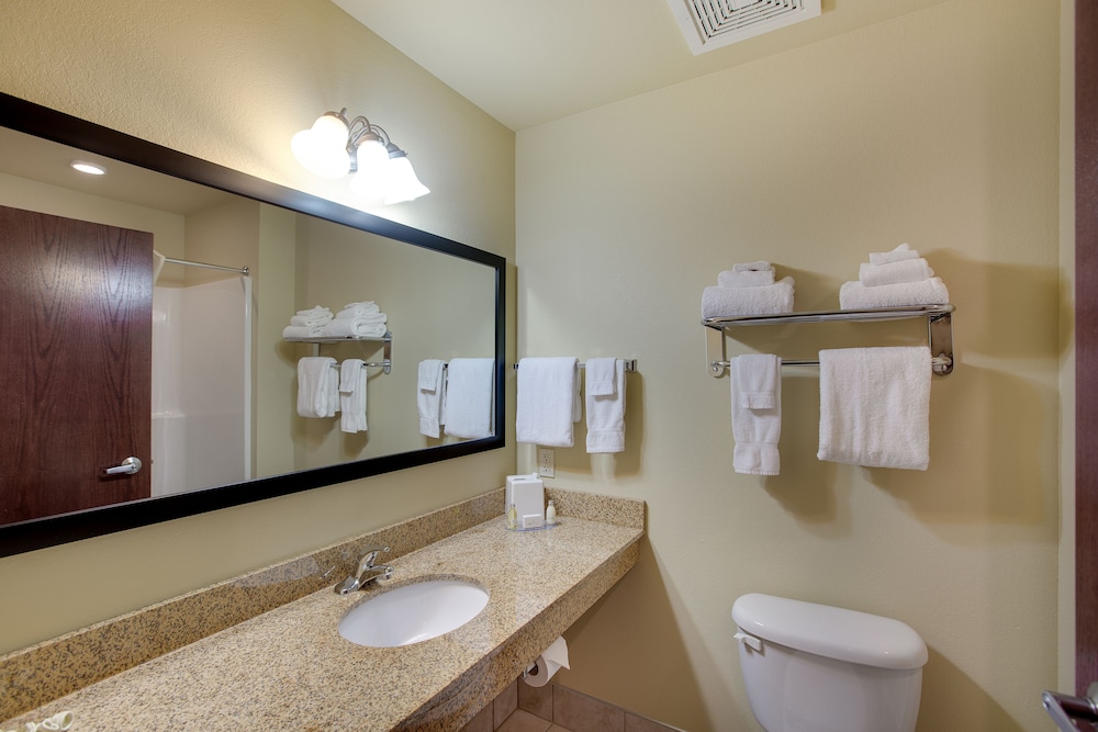 AmericInn by Wyndham Oshkosh - photo 19