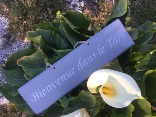 Le Brensol in Brens, France