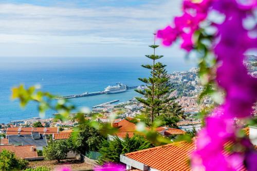 Ana's Place — 4-Star Luxury Hotel in Funchal, Portugal