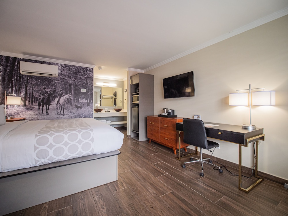 Equus Inn Ocala - photo 20