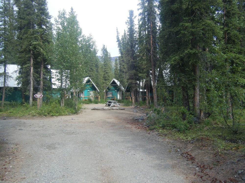 Denali Perch Resort - photo 12