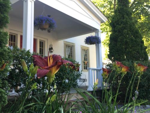 The Black Boar Inn - photo 9