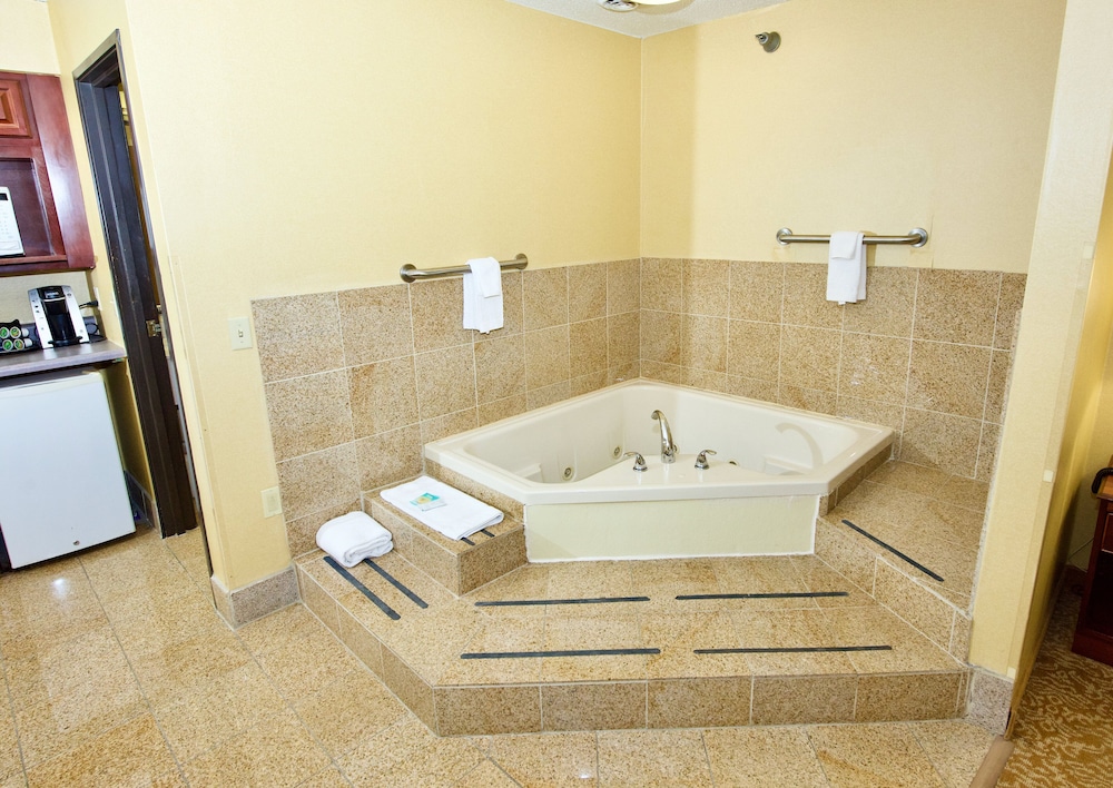 Holiday Inn Express & Suites St. Louis West Fenton by IHG - photo 39