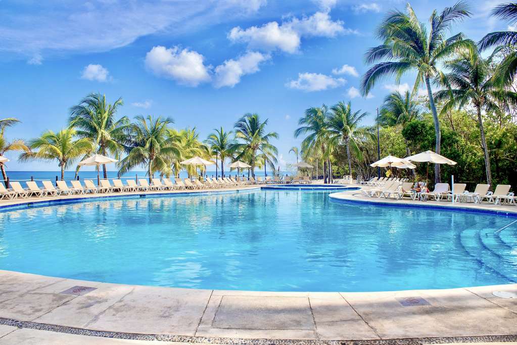 OCOZ POOL