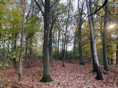 Groepsaccommodatie De Ooymanhoeve — Doetinchem — photo 3