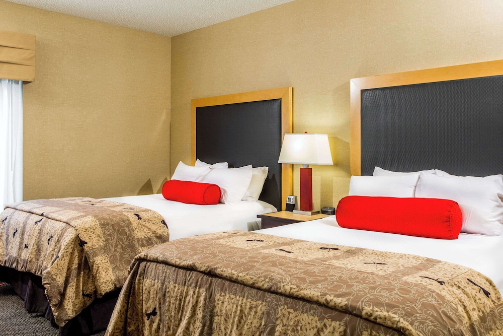 Cambria Hotel Raleigh Durham Airport - photo 11