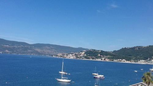 Apartman Aleksandar Aco — 4-Star Luxury Hotel in Herceg-Novi, Montenegro