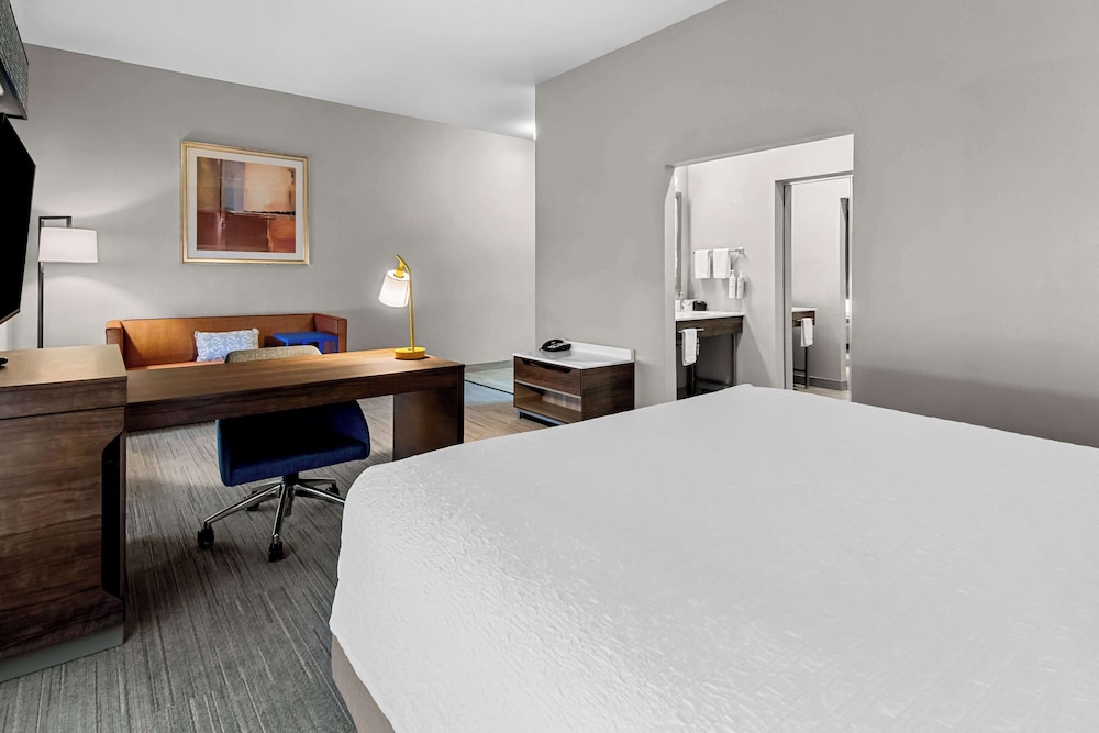 Hampton Inn & Suites Abilene I 20 - photo 30