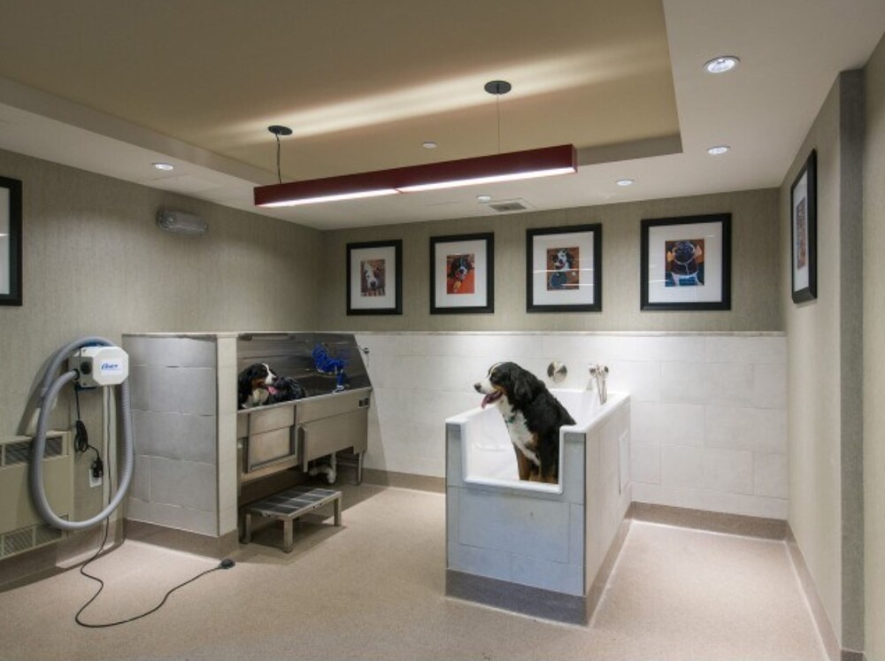 Global Luxury Suites at Cambridge Park - photo 14